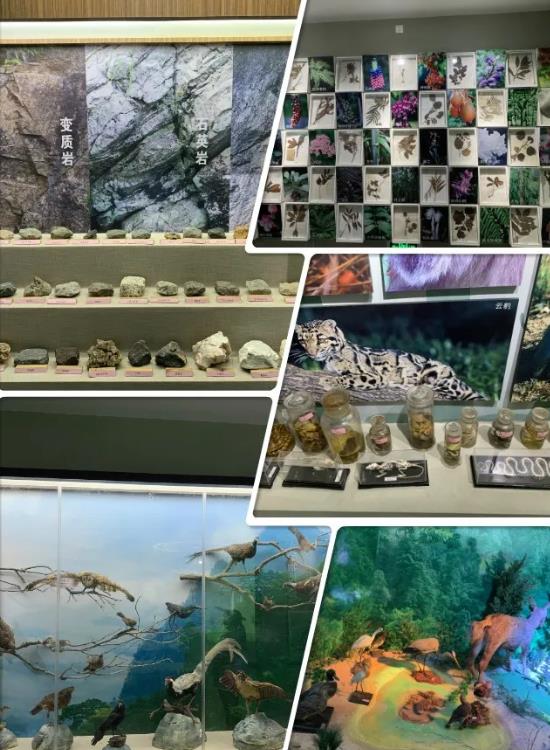 鄒建平帶隊前往自然保護區管理局調研紅色教育培訓課程