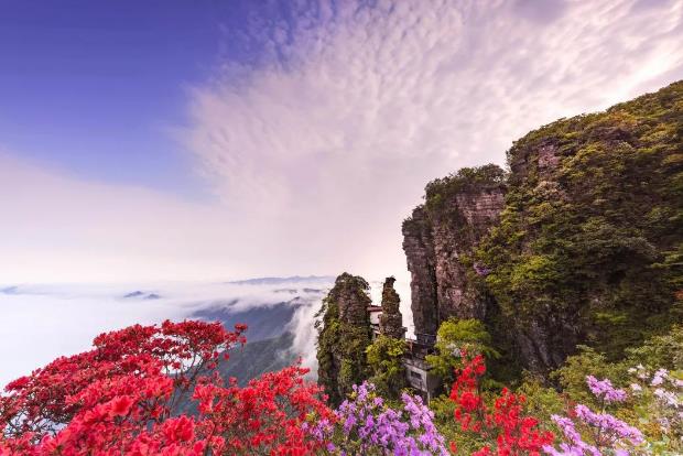 2023第十四屆井岡山杜鵑花節，4月18日開幕！