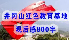 井岡山紅色教育基地觀后感800字