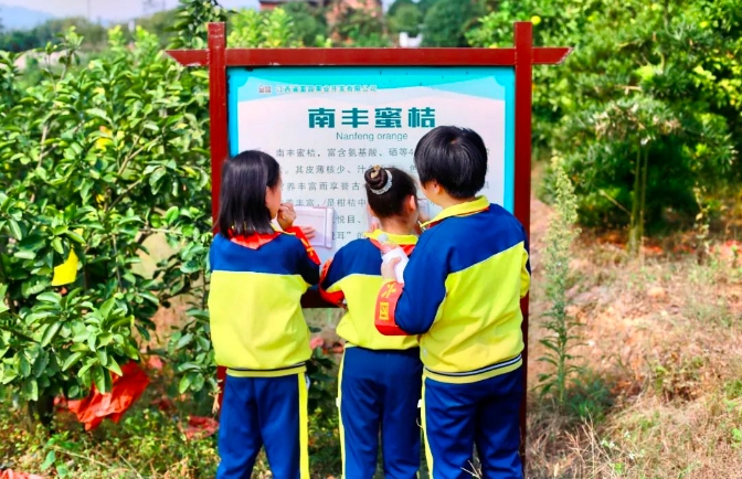 參觀考察富晶農業拓展基地