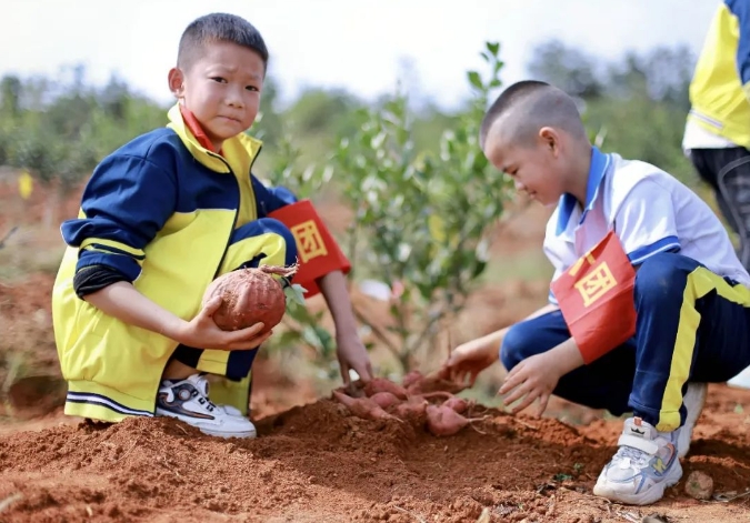 參觀考察富晶農業拓展基地